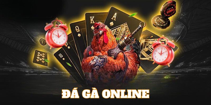 Đá Gà GK888 - Đường truyền ổn định, hạn chế giật lag Đá Gà GK888 - Đường truyền ổn định, hạn chế giật lag